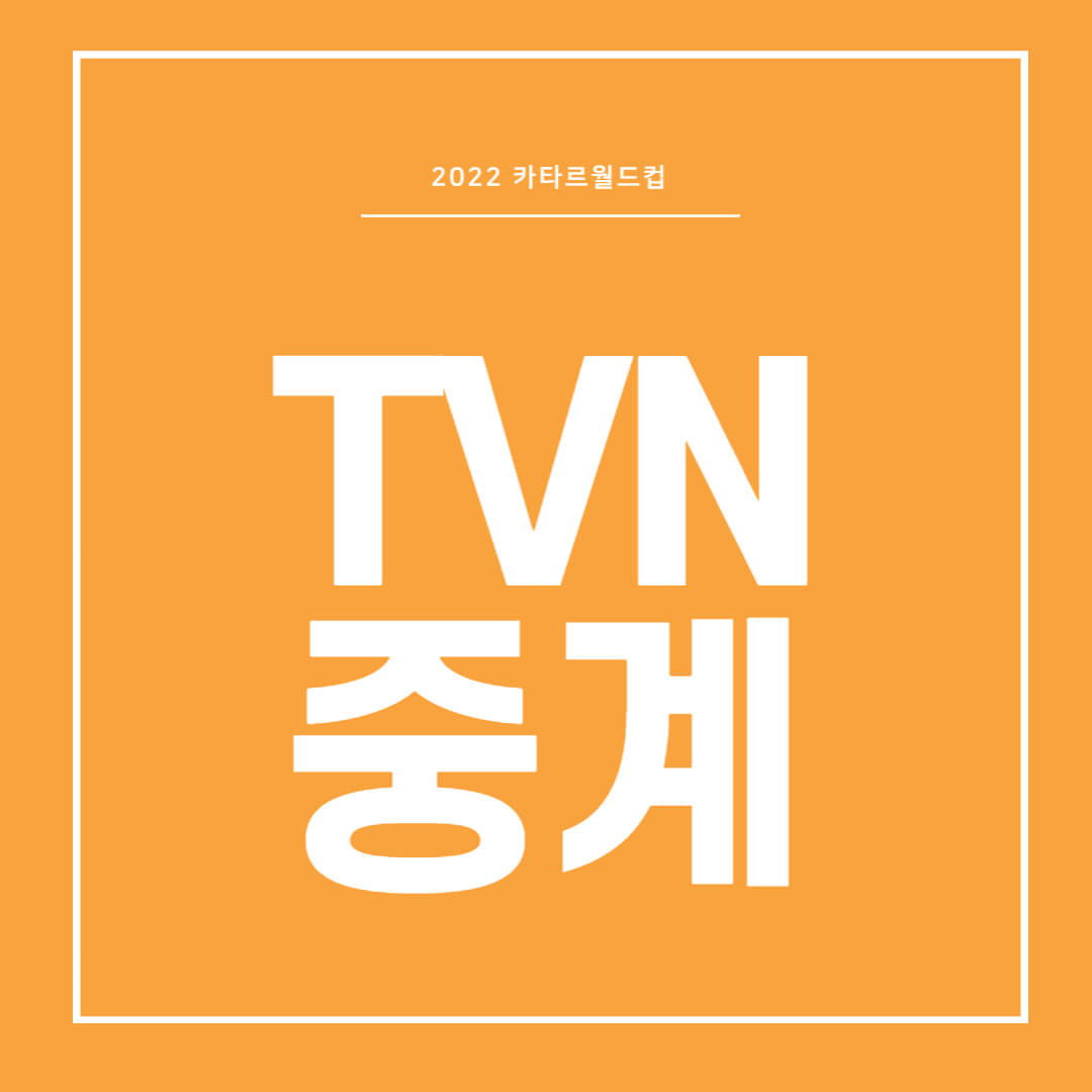 TVN 온에어 편성표