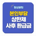 본인부담 상한제 사후환급금 신청