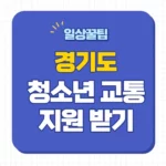 경기도 청소년 교통비