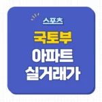 국토부 아파트 실거래가 조회