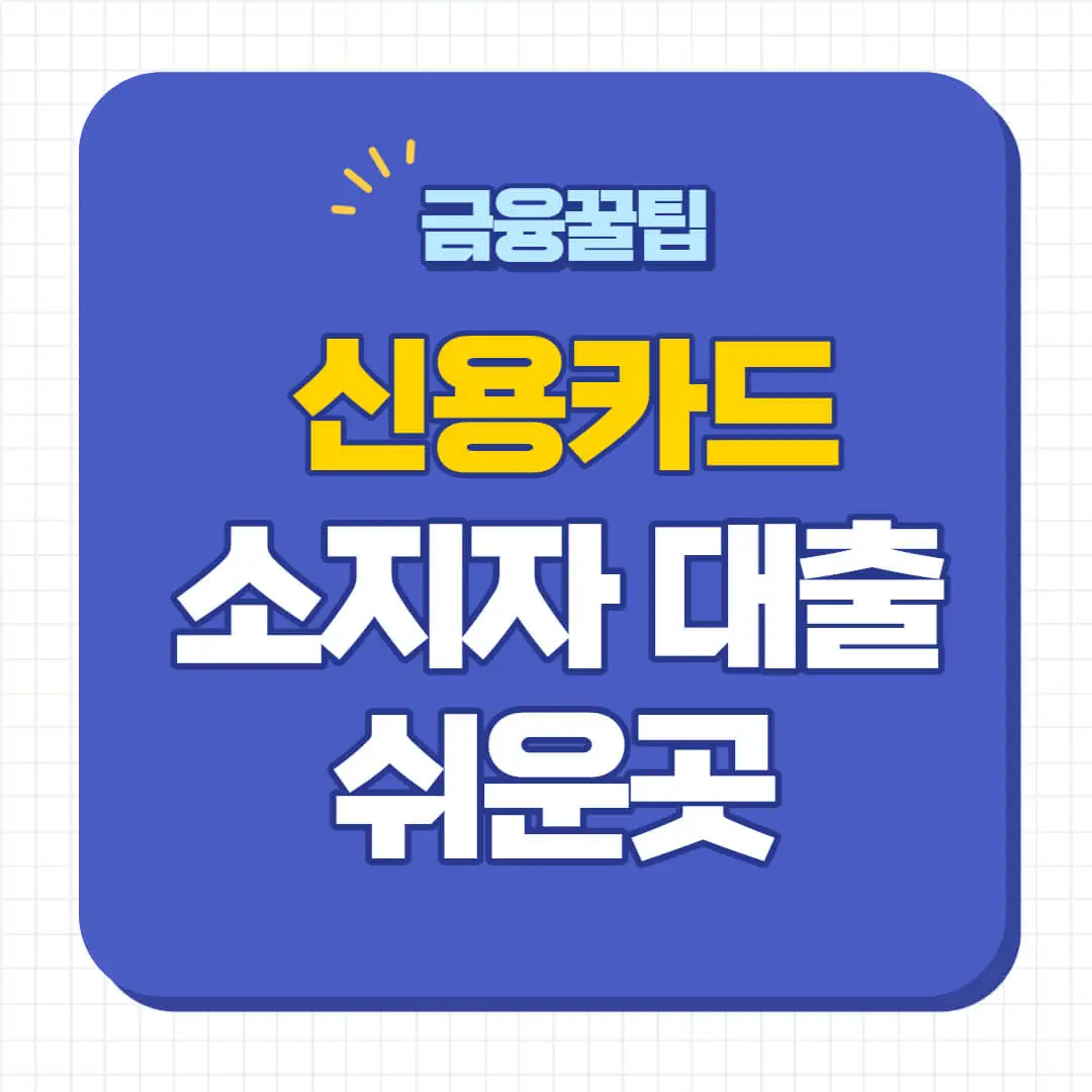 신용카드 소지자 대출