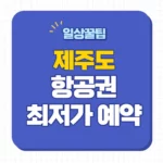 제주도 비행기 특가