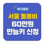 서울형 아이돌봄비 신청
