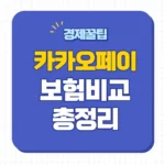 카카오페이손해보험 보험금 청구