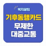 기후동행카드 신청