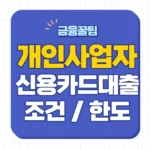개인사업자 신용대출