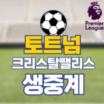 토트넘 팰리스 중계