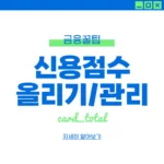 kcb 신용점수