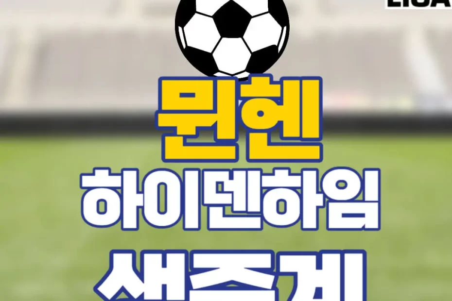 뮌헨 하이덴하임 중계