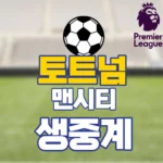 토트넘 맨시티
