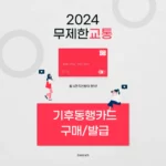 기후동행카드 발급