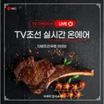TV조선 실시간