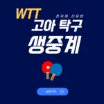 2024 WTT 스타 컨텐더 고아